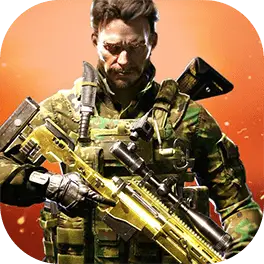Soldiers Fury